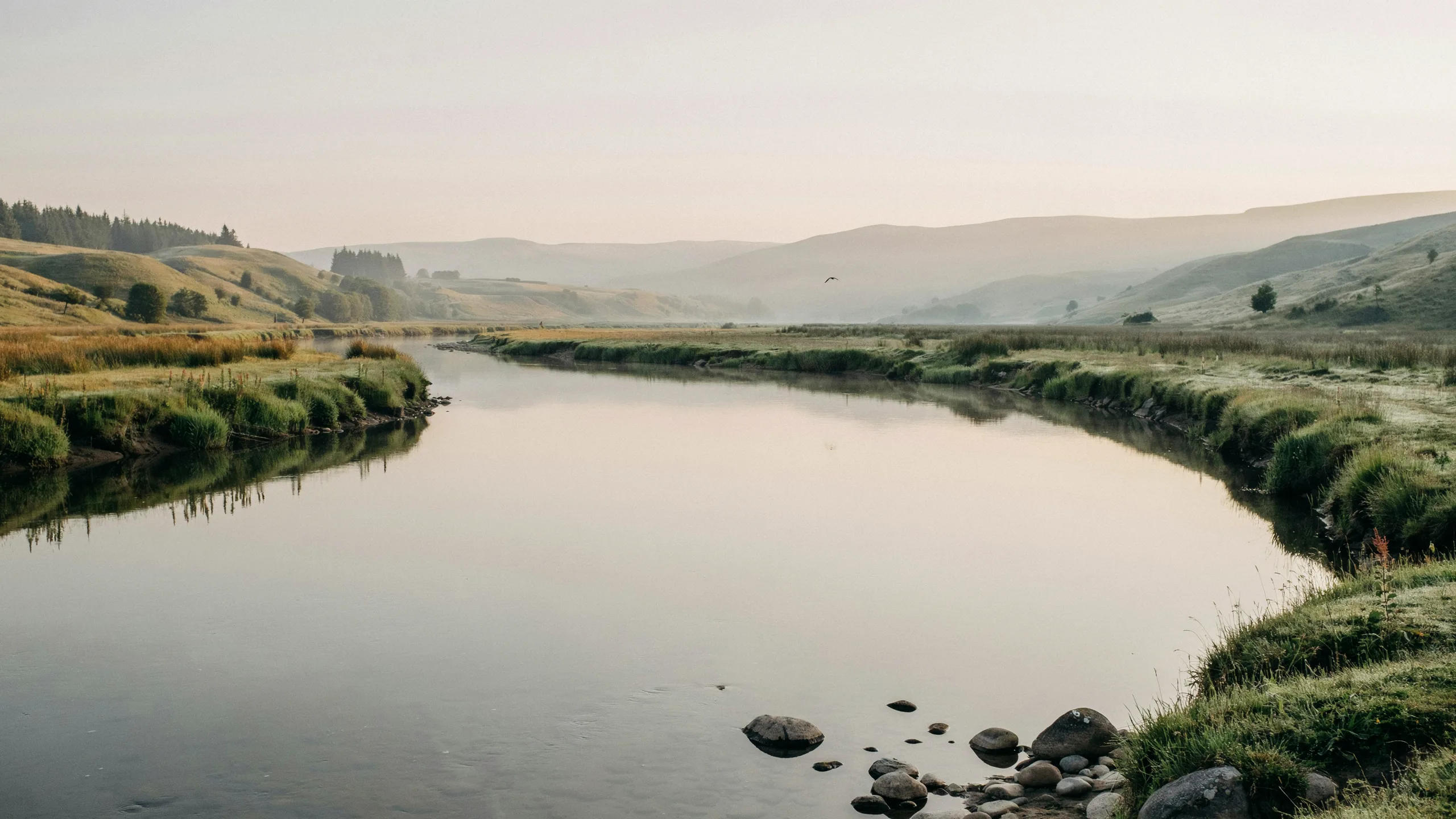 A still river in morning mist